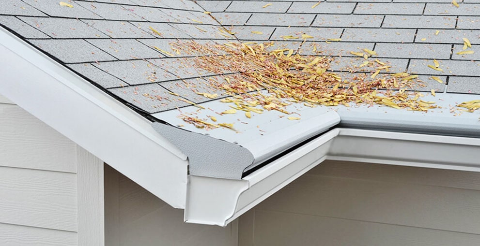 Gutter Cleaning Services