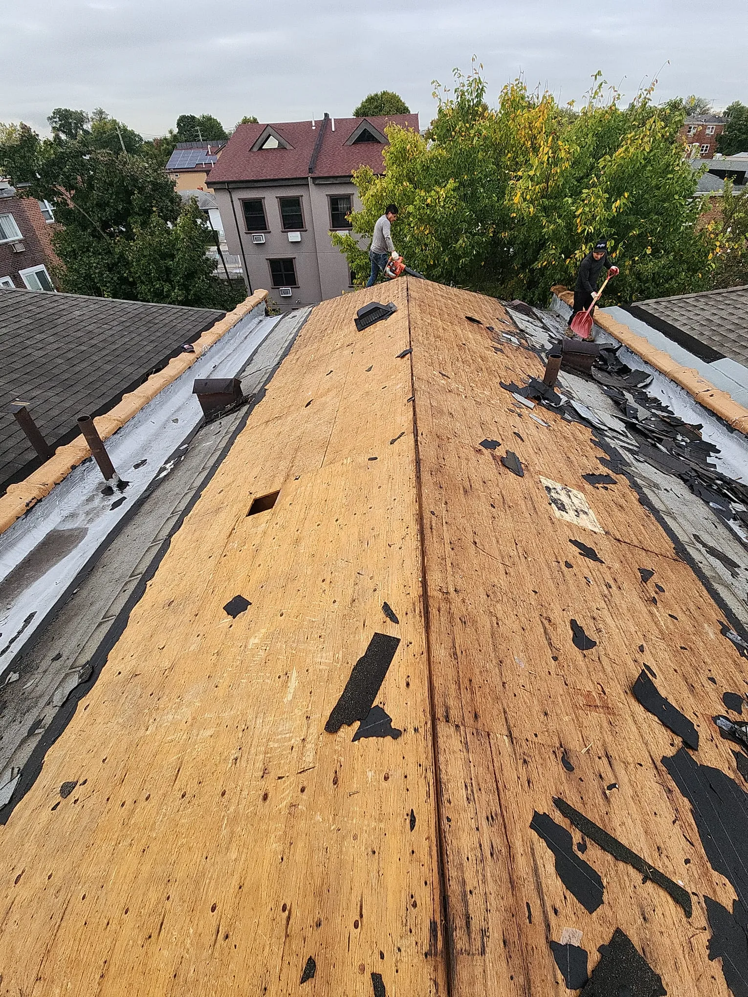 Shingle replacement improving roof durability